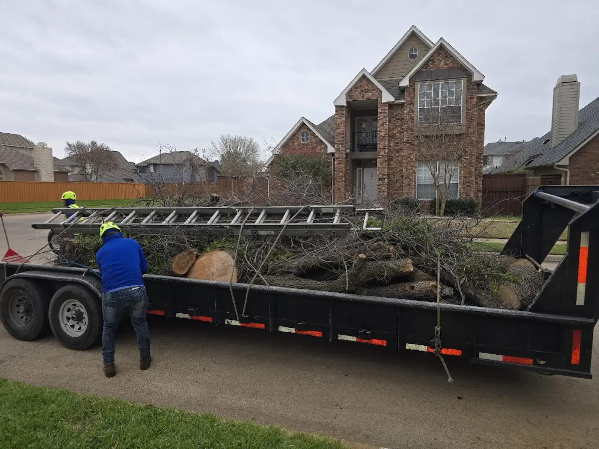Expert Tree Removal with proper safety equipment in Faunsdale